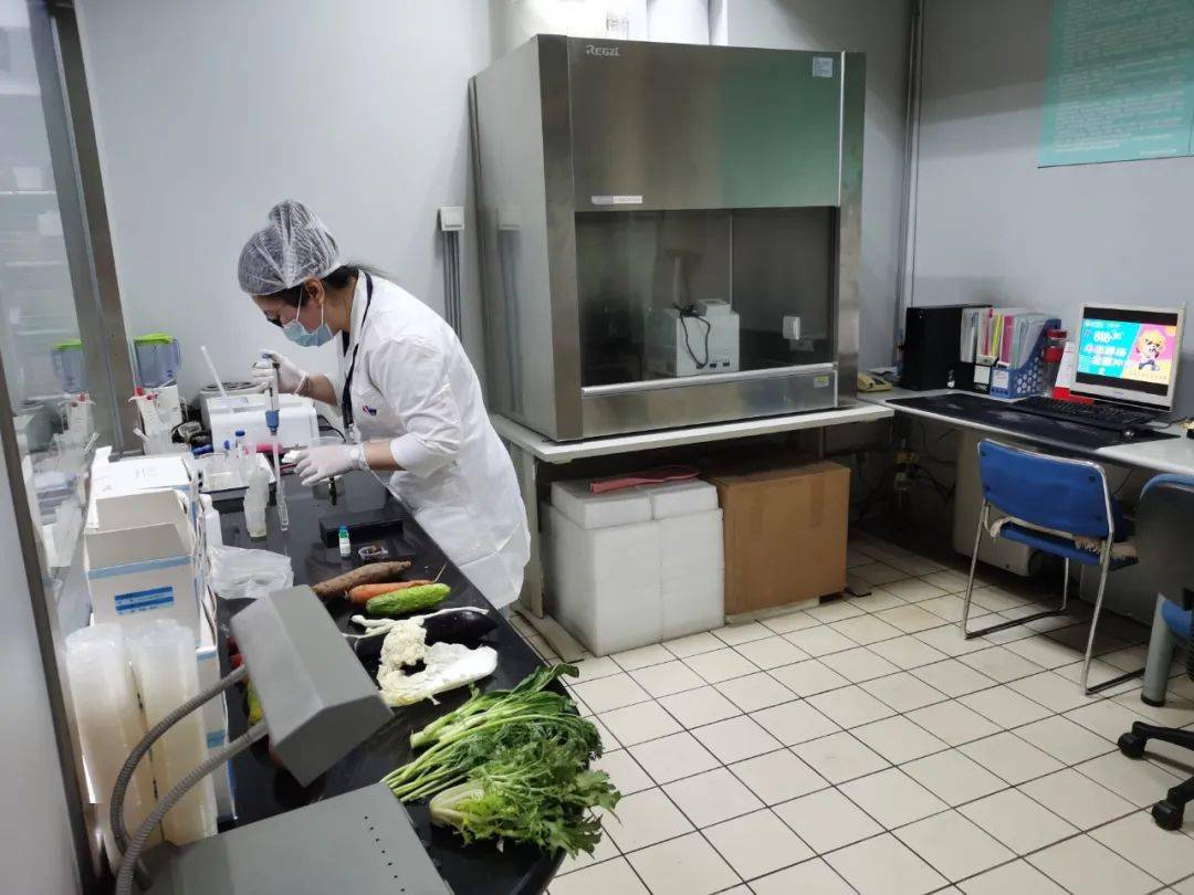 成县食品检测实验室装修方案